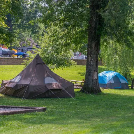 Yogi Bear’s Jellystone Park Camp-Resort at Milton Picture 2