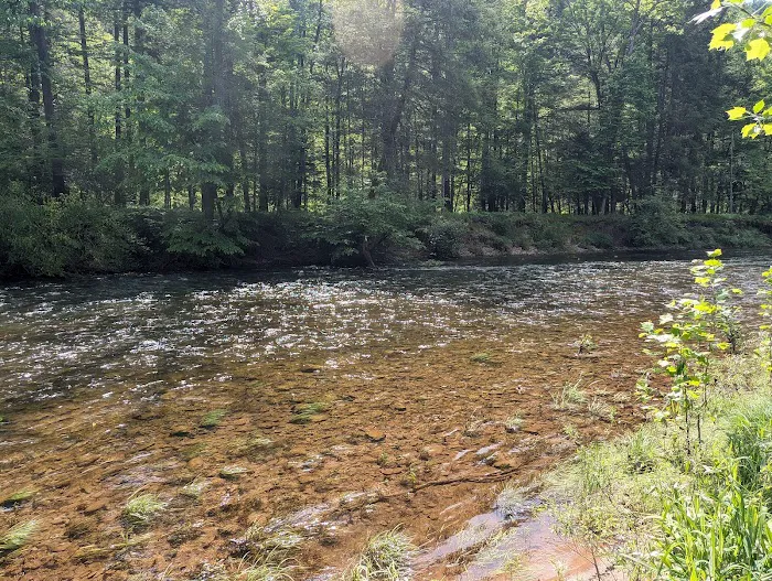 Oilmen's creekside RV sites Picture 10