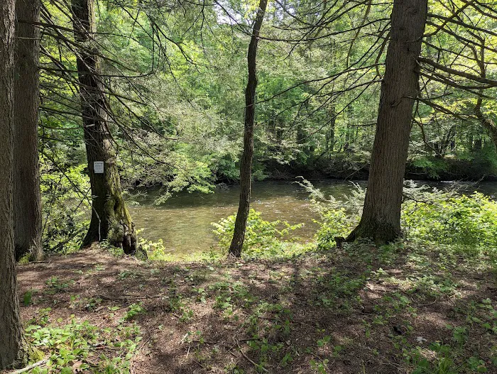 Oilmen's creekside RV sites Picture 6