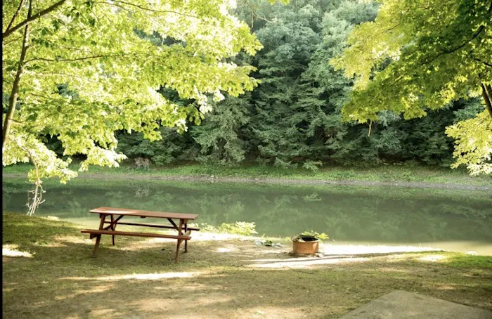 Riverhurst Park Campground Picture 2