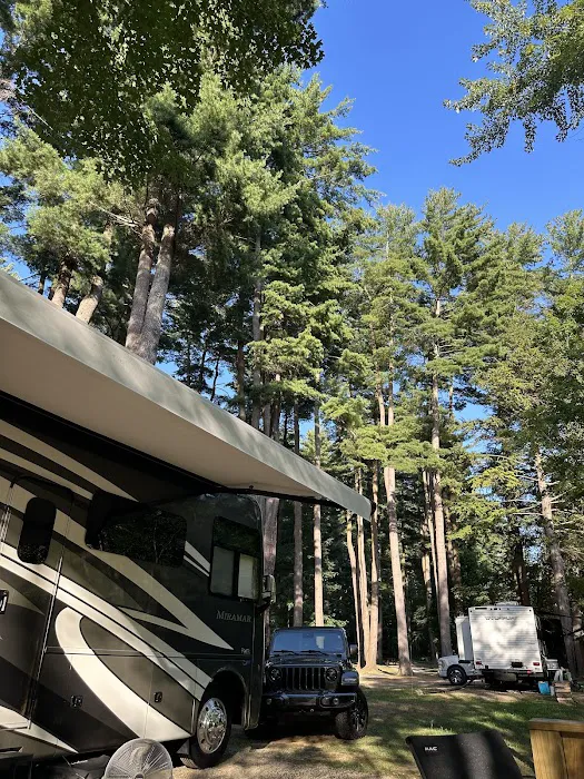 Riverhurst Park Campground Picture 6