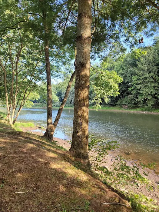 Riverhurst Park Campground Picture 1
