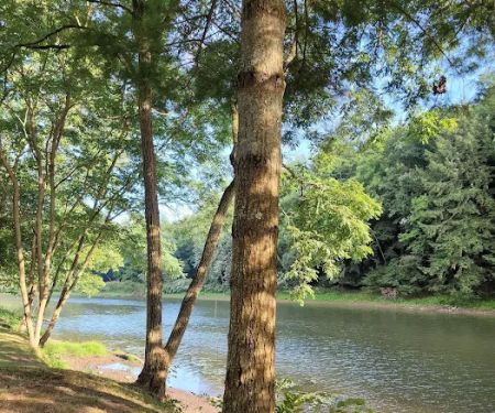 Riverhurst Park Campground