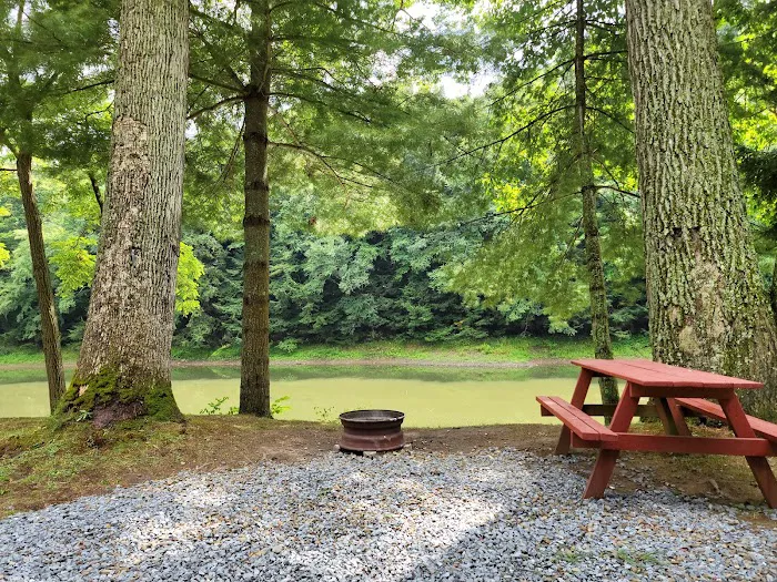 Riverhurst Park Campground Picture 10