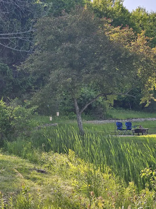 Oasis in the Alleghany's camping Picture 6