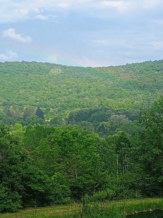 Oasis in the Alleghany's camping Picture 5