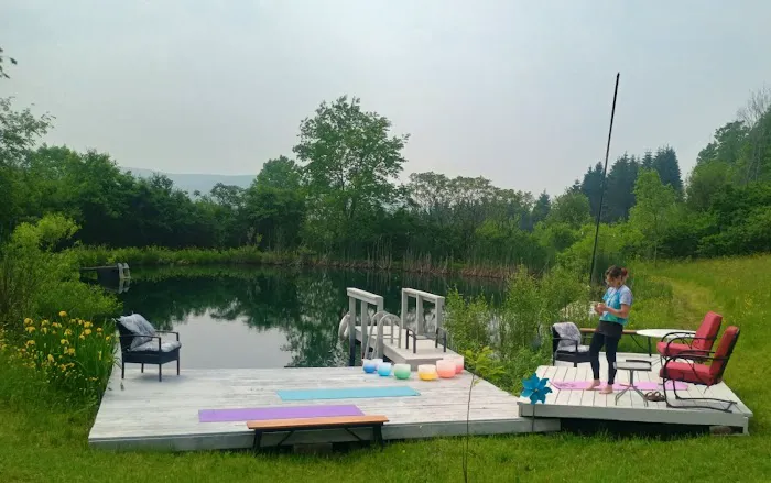 Oasis in the Alleghany's camping Picture 2