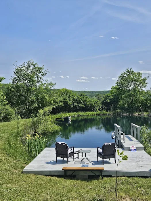 Oasis in the Alleghany's camping Picture 4