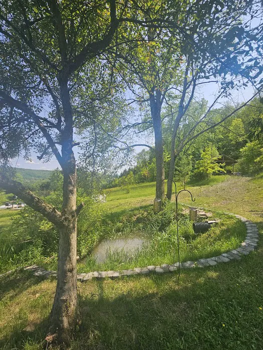 Oasis in the Alleghany's camping Picture 8