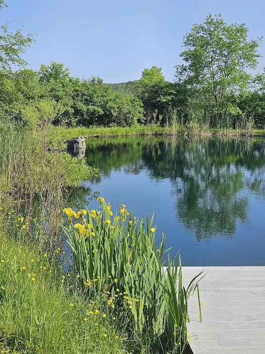Oasis in the Alleghany's camping Picture 10