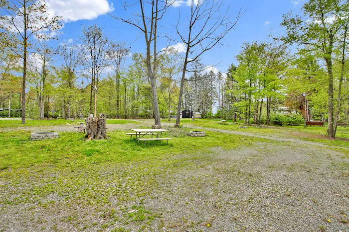 Canyon Country Campground & Glamping Picture 4