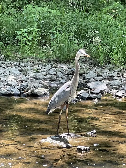 Brandywine Creek Campground Picture 4