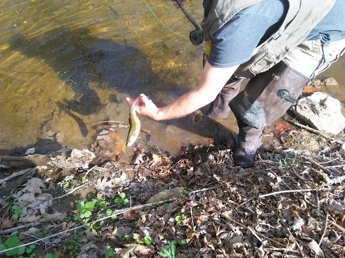 Brandywine Creek Campground Picture 5