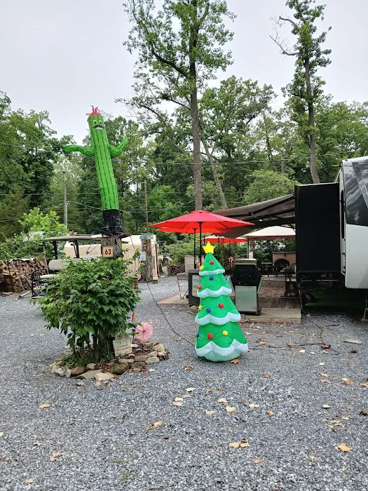 Cocalico Creek Campground Picture 6