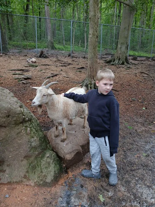 Cocalico Creek Campground Picture 3