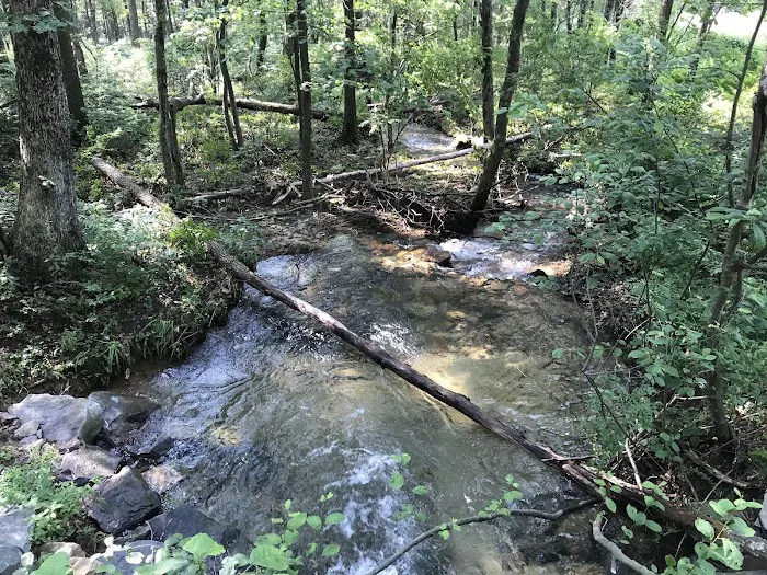 Weiser State Forest Greenland Tract Picture 6