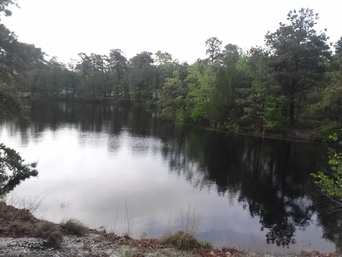 Roamers Beach RV Resort Picture 3