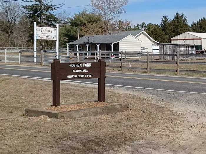 Goshen Pond Camping Area Picture 5