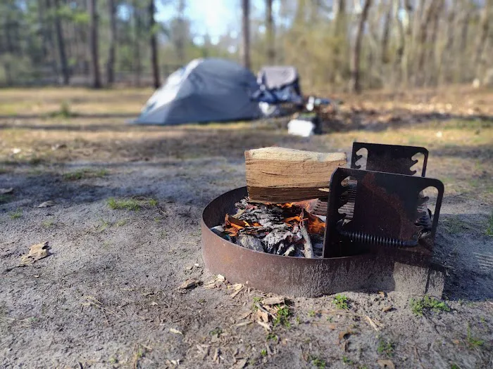 Goshen Pond Camping Area Picture 2