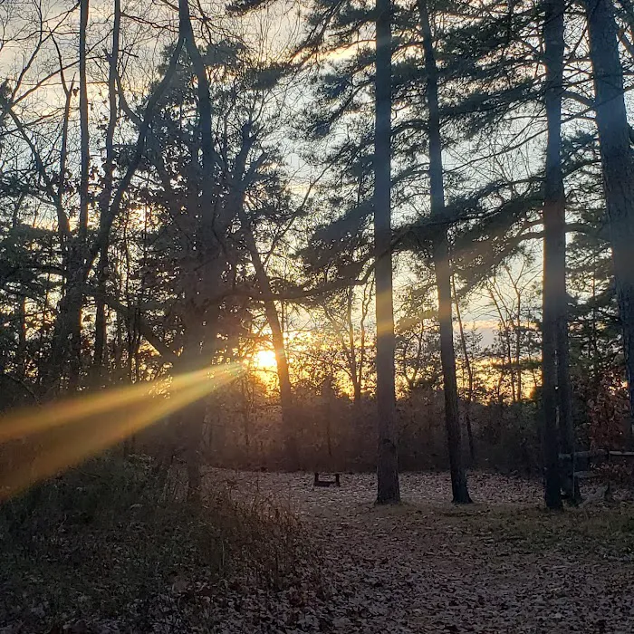 Goshen Pond Camping Area Picture 6