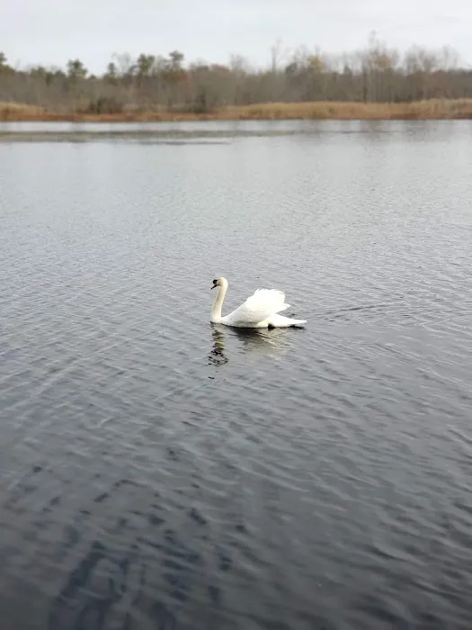 Fawn Lake Village Picture 4