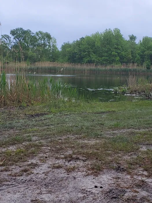 Fawn Lake Village Picture 7