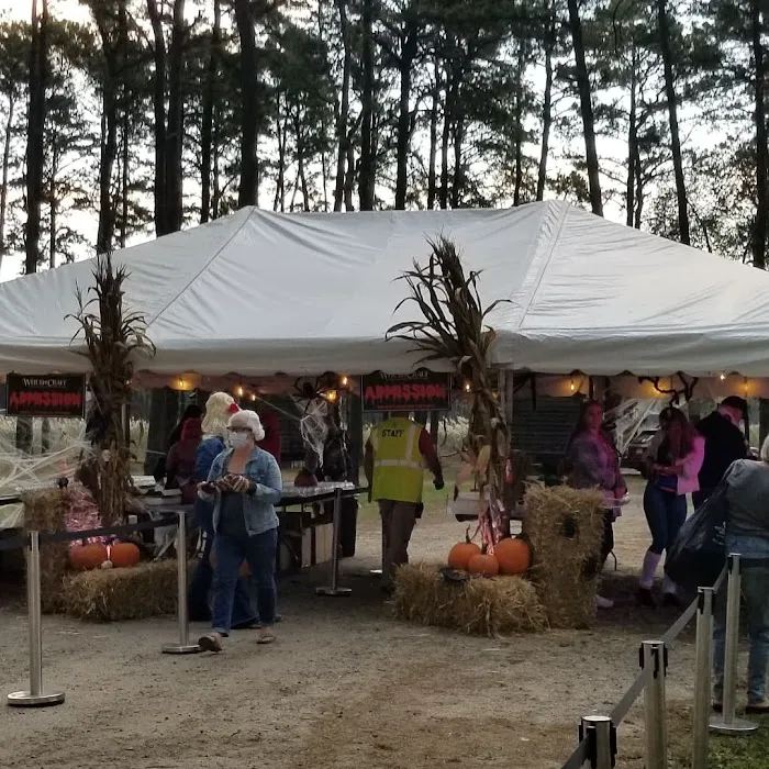Paradise Lakes Campground Picture 6