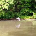 Cherry Hill Mobile Home Park