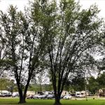 Penn Avon Campground