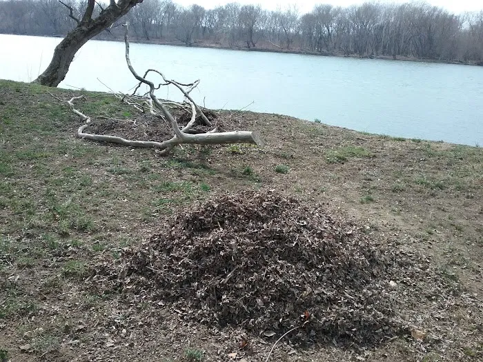 Stiely's Rivershore Campground Picture 7