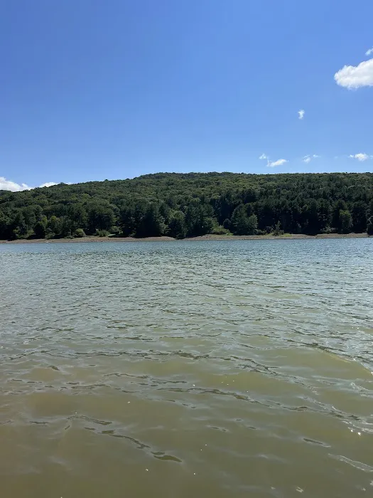 Allegheny National Forest - Camping & Cabins Picture 10