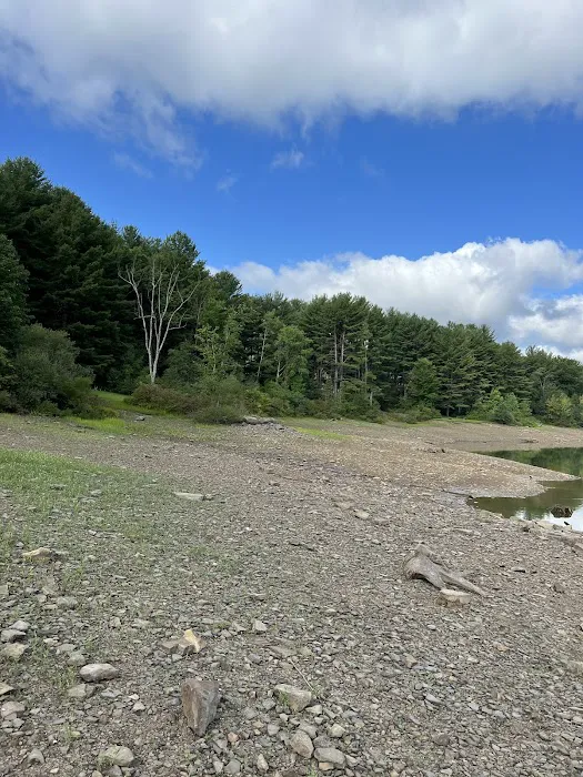 Allegheny National Forest - Camping & Cabins Picture 4