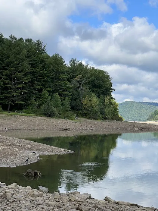 Allegheny National Forest - Camping & Cabins Picture 7