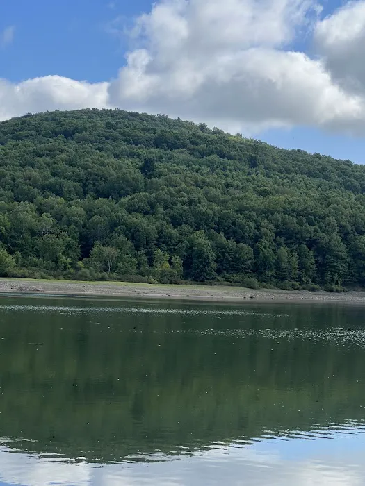 Allegheny National Forest - Camping & Cabins Picture 3