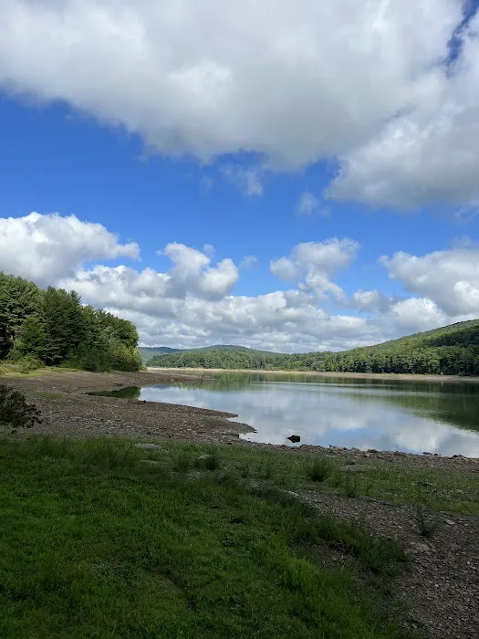 Allegheny National Forest - Camping & Cabins Picture 9
