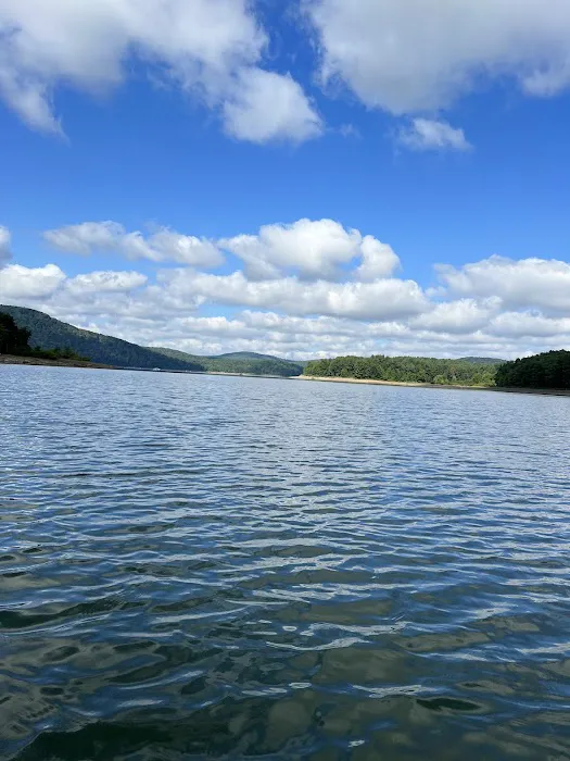 Allegheny National Forest - Camping & Cabins Picture 2