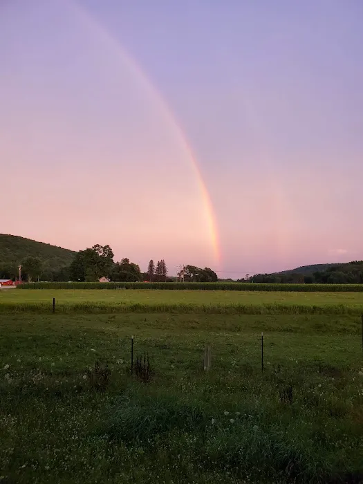 Brokenstraw Valley Campsites Picture 4