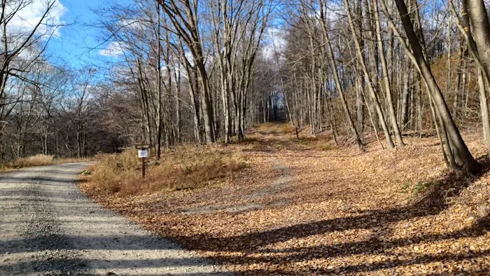 Loyalsock State Forest campsite #360 Picture 8