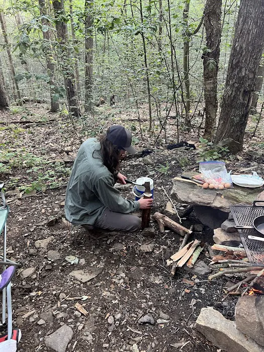 Loyalsock State Forest campsite #360 Picture 6