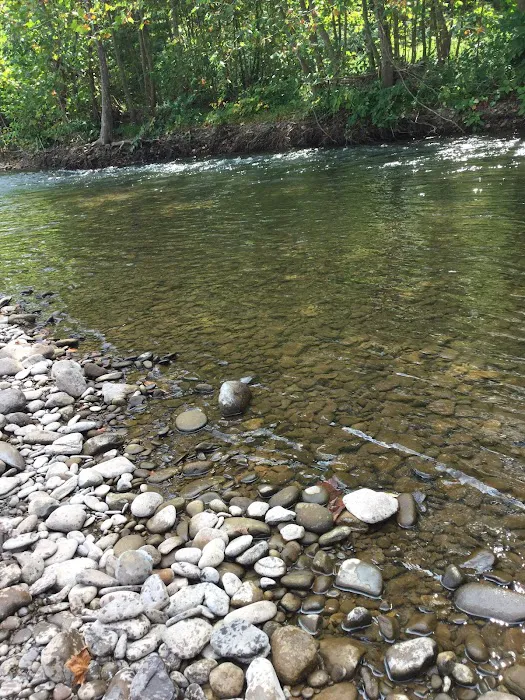 Creekside Manor Campground Picture 10