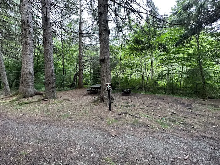 Masten Camping Area Picture 6