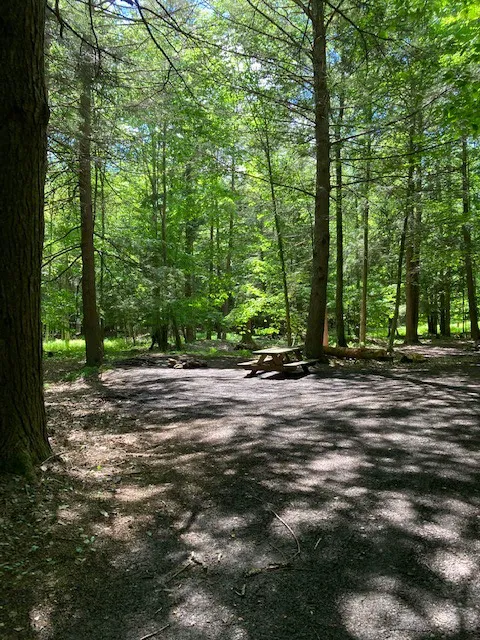 Falling Waters Campground home of Buttermilk Falls Picture 8