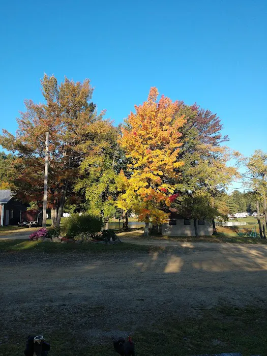 Breezy Point Campground Picture 6