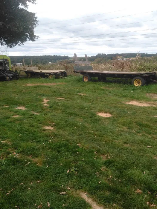 Sunrise Trailer Court Inc Picture 3