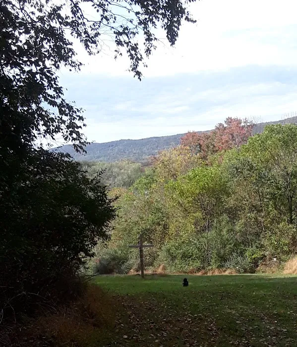 Camp Swatara Picture 3