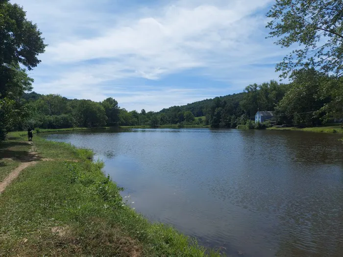 Camp Swatara Family Camp Picture 6