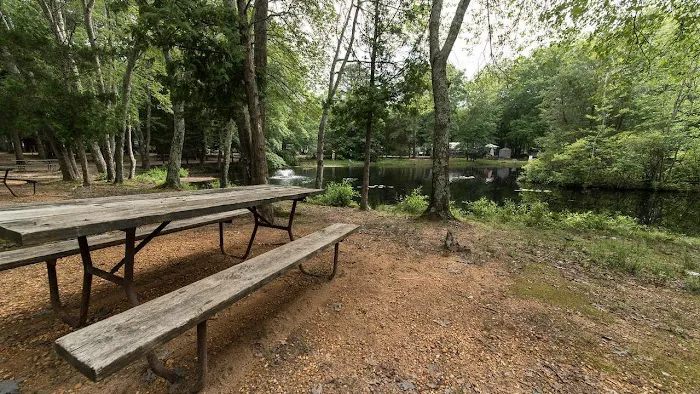 Mays Landing Campground Picture 4