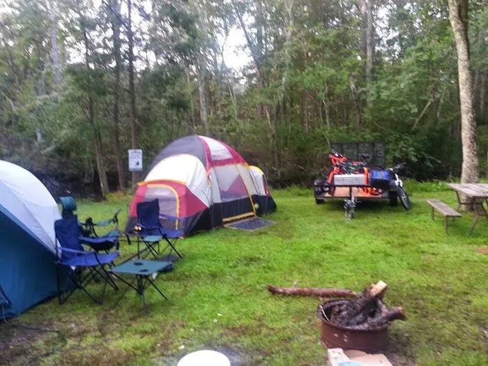 Mays Landing Campground Picture 3