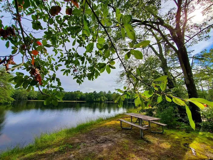 Lake Nummy Picture 10