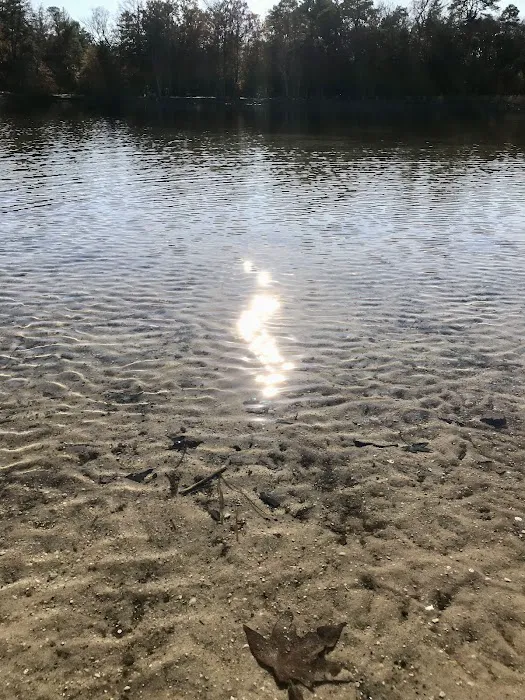Lake Nummy Picture 4